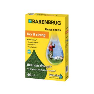 Rasensamen Barenbrug Water Saver Saatgut - 1 kg