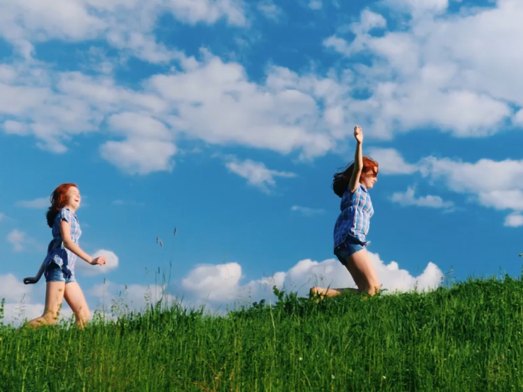 Rasensamen Barenbrug Resilient Blue Lawn Saatgut - 1 kg