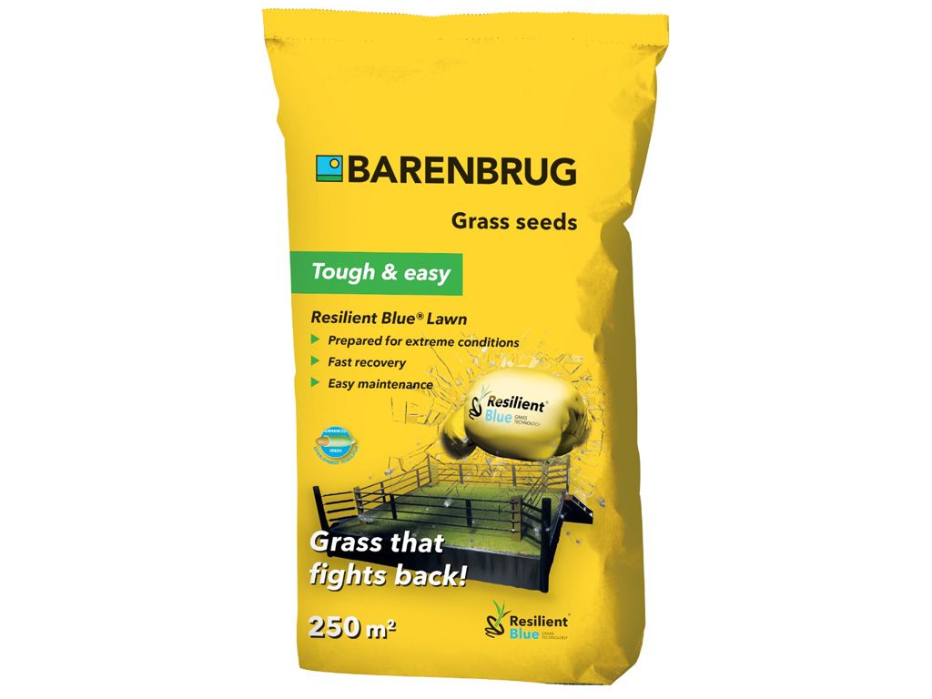 Rasensamen Barenbrug Resilient Blue Lawn Saatgut - 5 kg