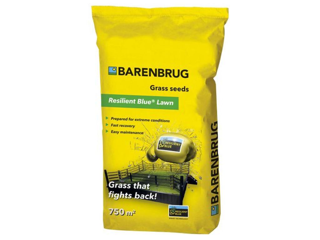 Rasensamen Barenbrug Resilient Blue Lawn Saatgut - 15 kg