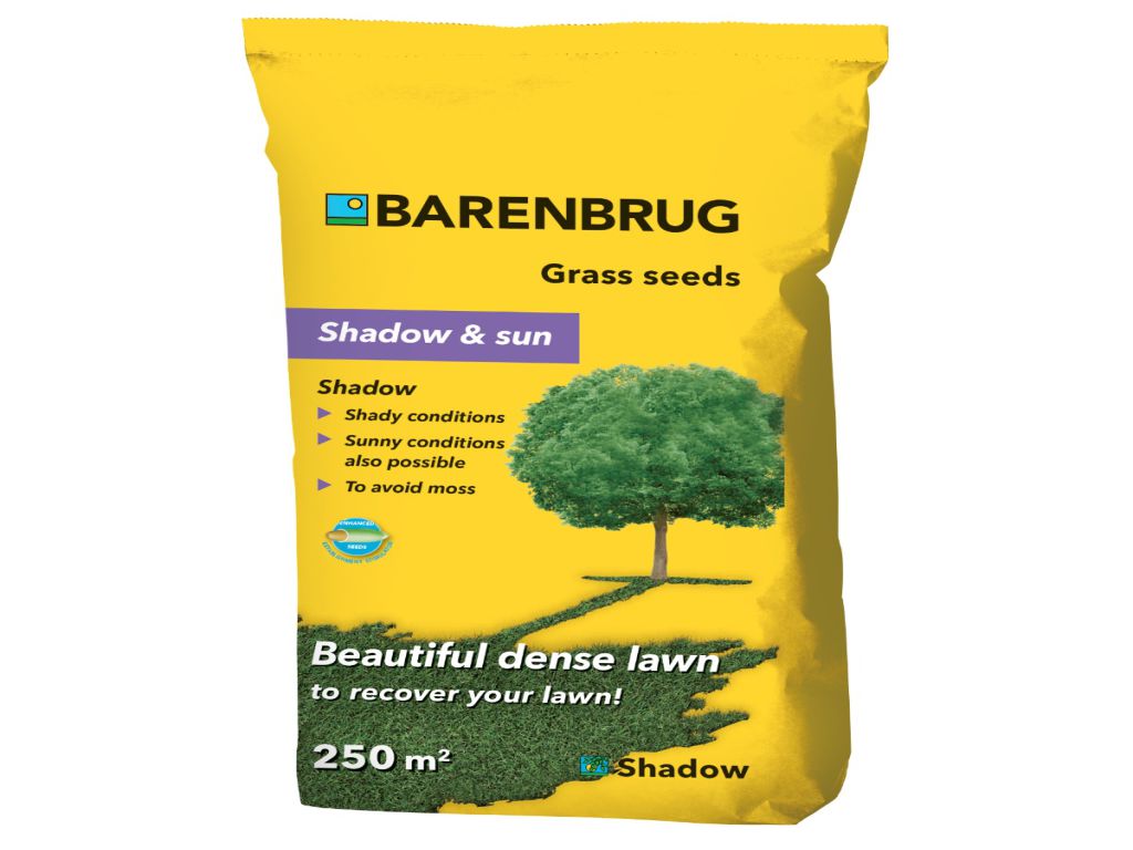 Rasensamen Barenbrug Shadow Saatgut 5 Kg Rasensamen Barenbrug Shadow Saatgut 5 Kg
