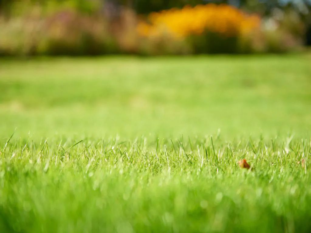 Nature PH-MessgerätSenso 2