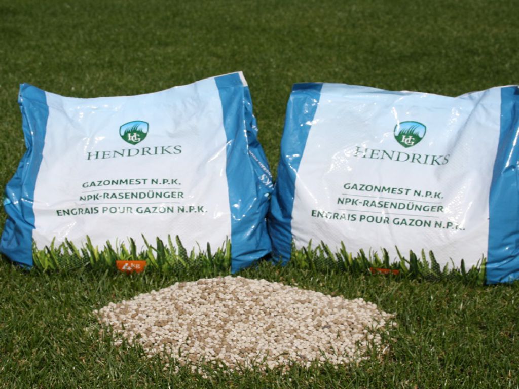 NPK-Rasendünger 4 kg (100 m2)