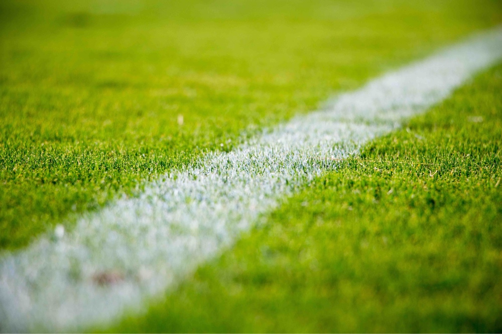 Rasensamen oder Rollrasen für einen Sportplatz? Rasensamen oder Rollrasen für einen Sportplatz?
