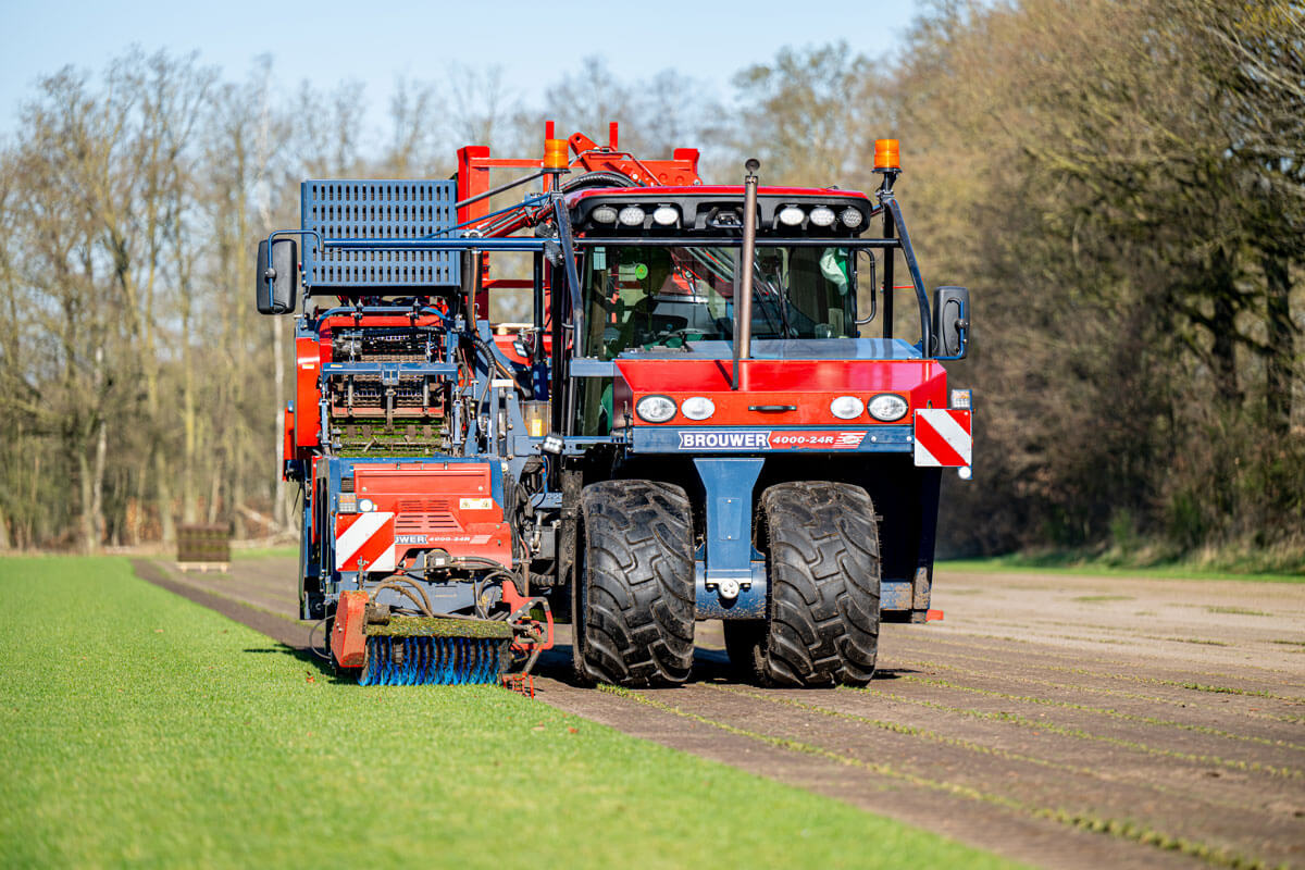 Fertigrasen verlegen Fertigrasen verlegen