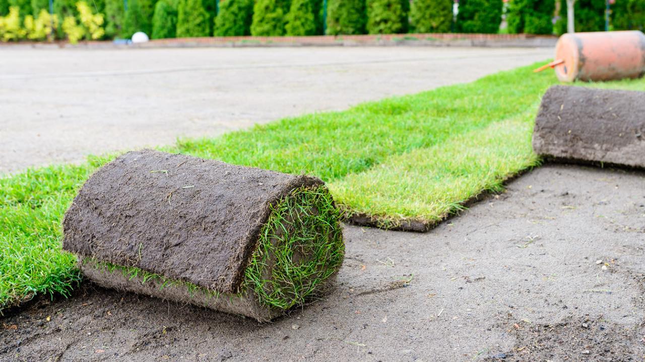 Hendriks Graszoden das Gras für Ihren Sportplatz Hendriks Graszoden das Gras für Ihren Sportplatz