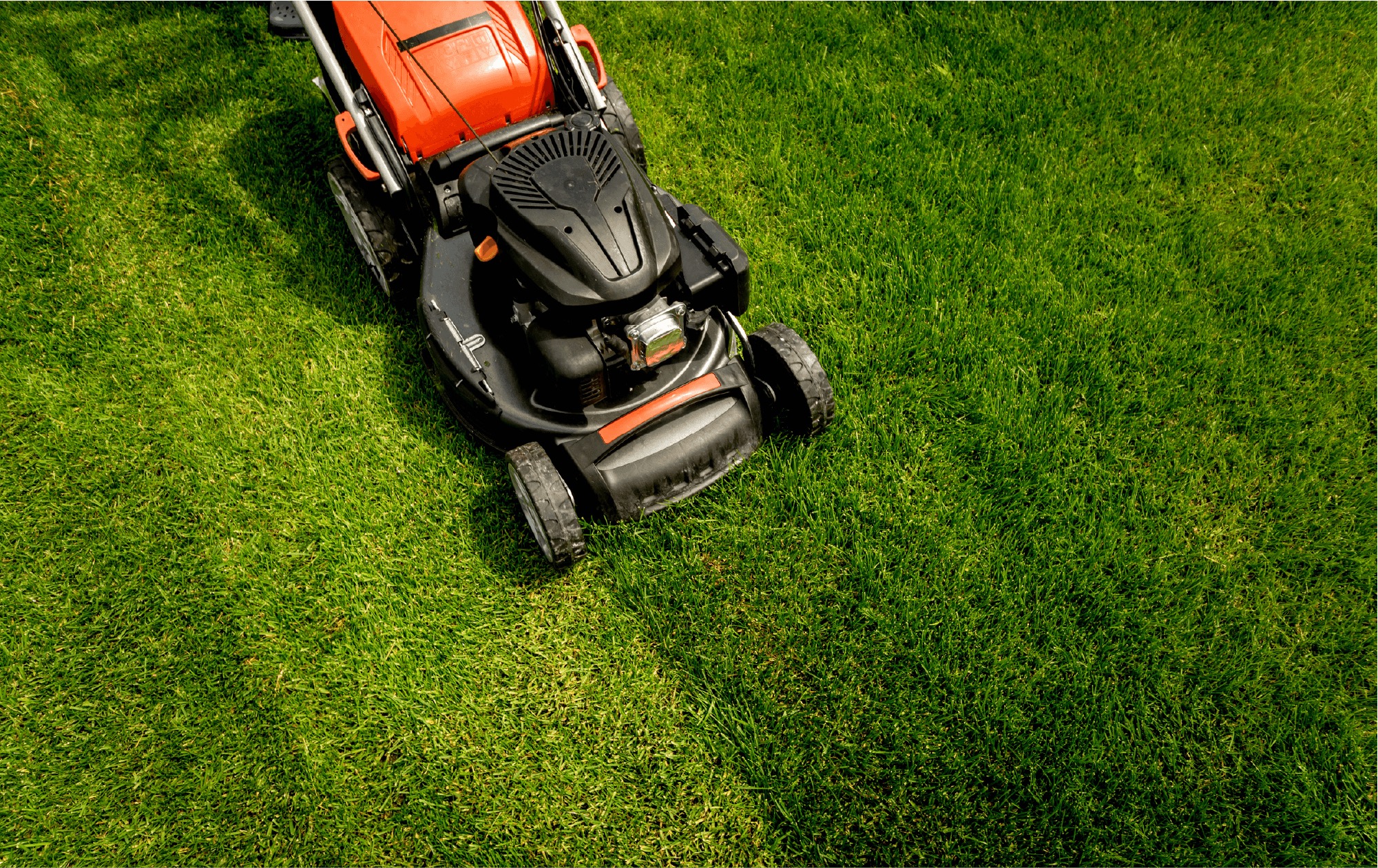 Rasen Pflege Rasen Pflege