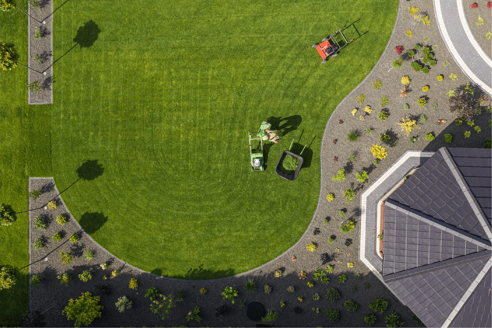 Rasenpflege Rasenpflege