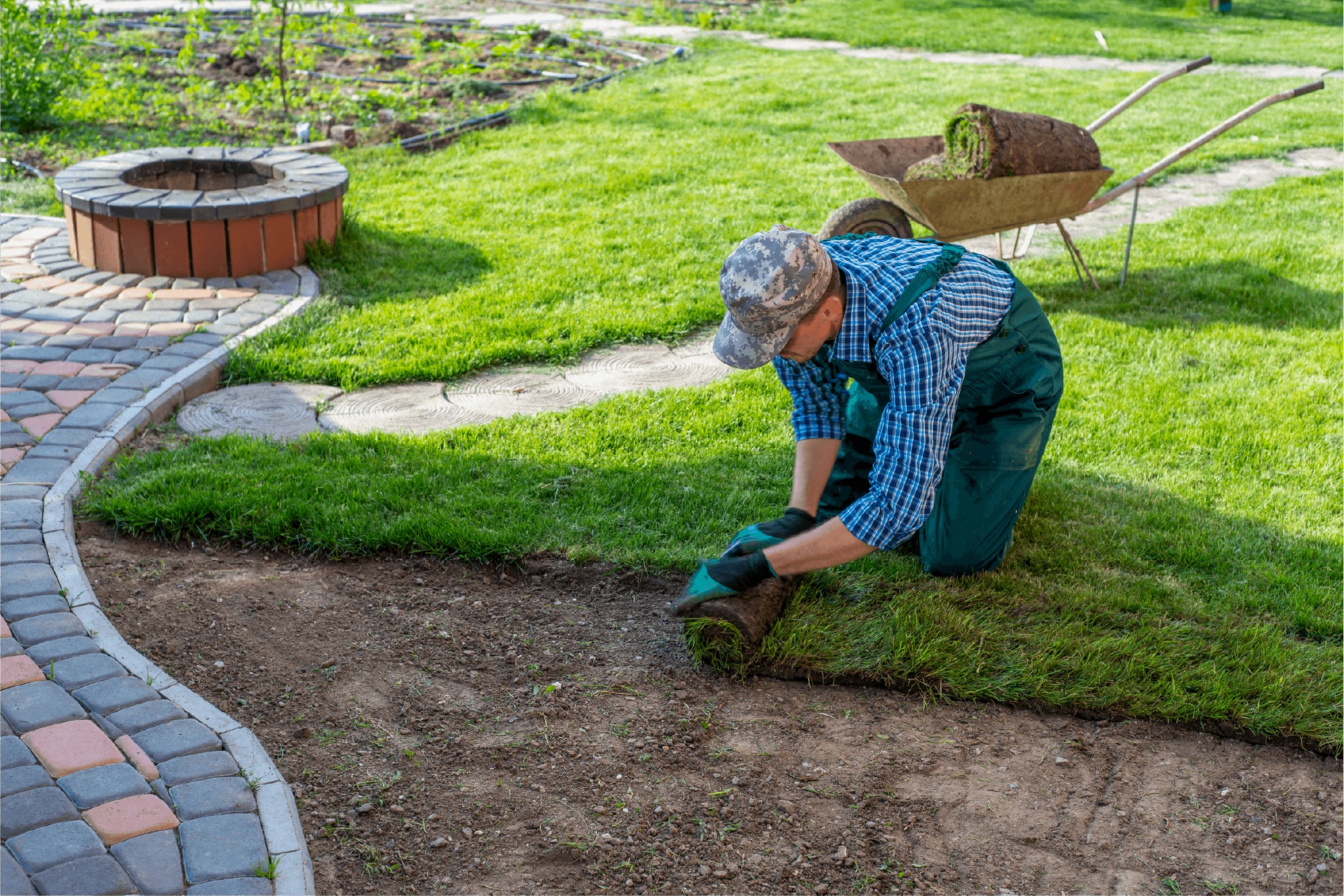 Schattenrasen säen oder als Rollrasen verlegen? Schattenrasen säen oder als Rollrasen verlegen?