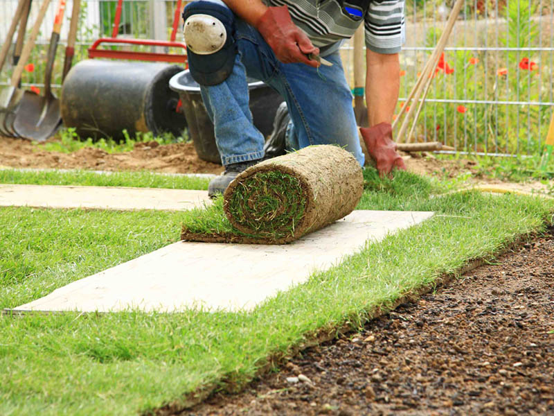 Vorteile Rollrasen verlegen lassen Vorteile Rollrasen verlegen lassen