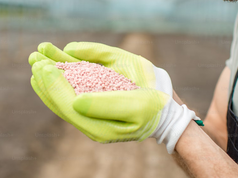 Warum Kalium gut für Ihren Rasen ist | Profi-rasen Warum Kalium gut für Ihren Rasen ist | Profi-rasen